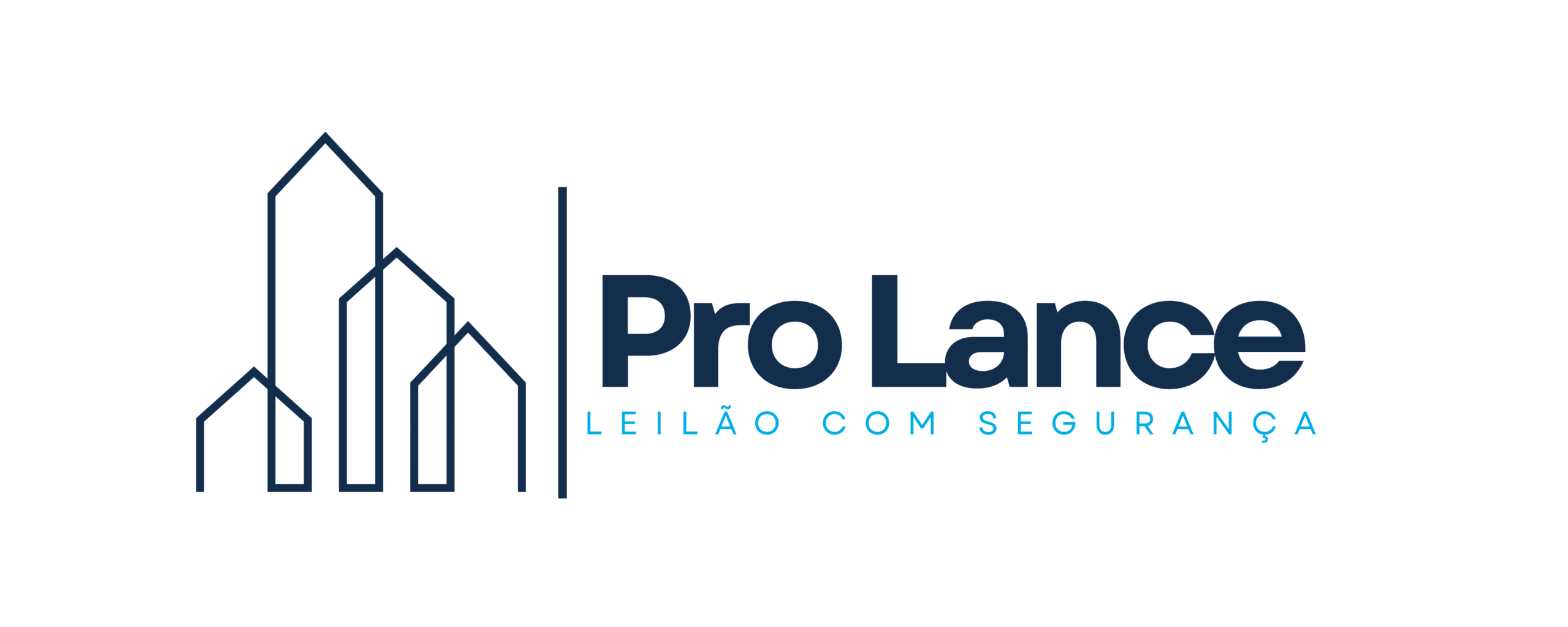 Pro Lance Leilão com Segurança